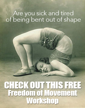 Willow Body Organization