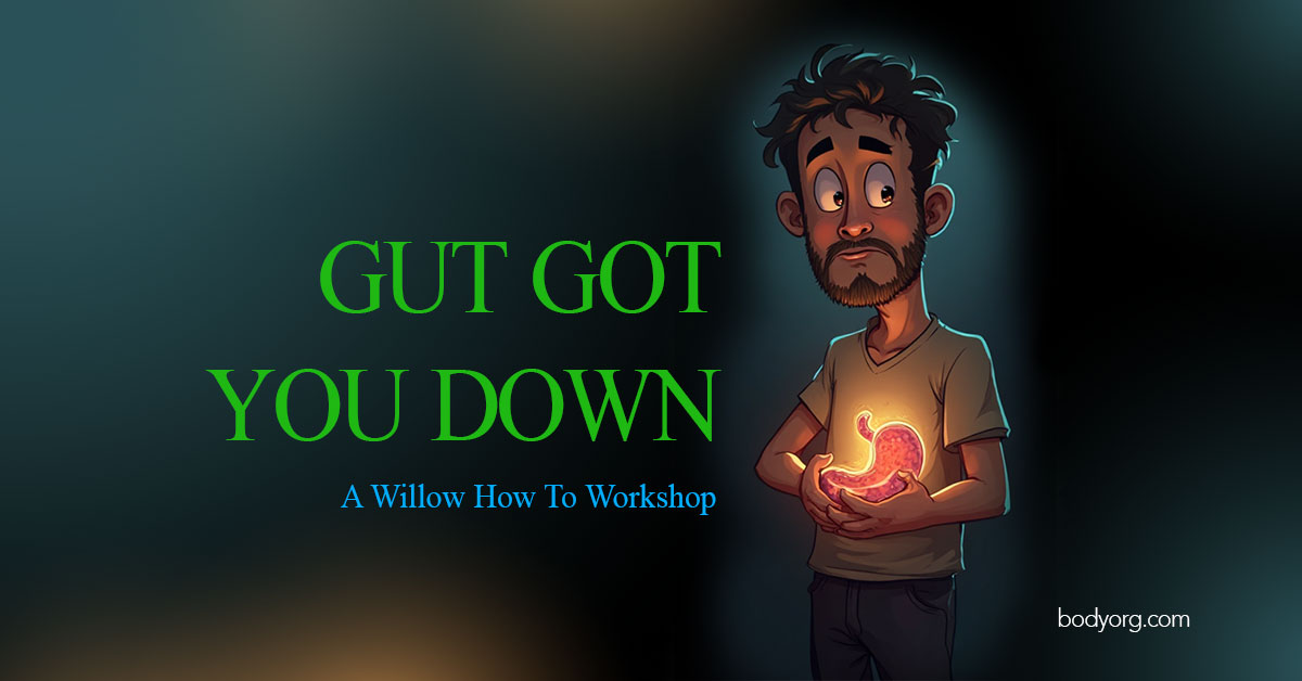Read: Gut Got You Down: Get Better Gut Health Powered By Willow