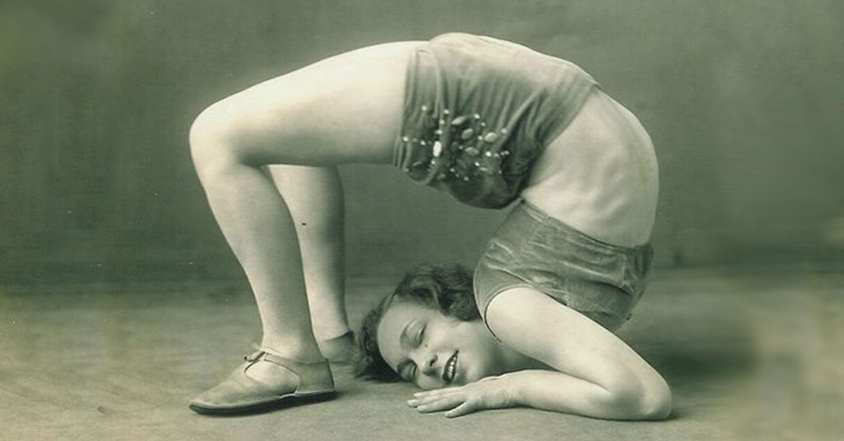 Be The Shape Of Things To Come: With The Willow System and More