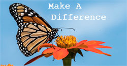 Train for a New Career