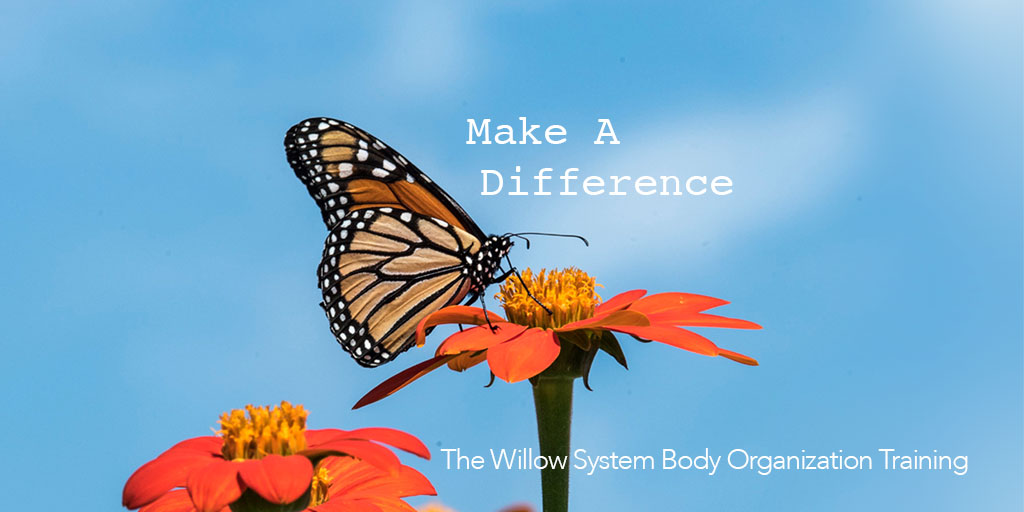 AYM Center: Train for a New Career with Willow's Body Organization 